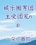 娱乐圈男团主受团宠np