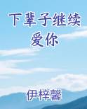 下辈子继续爱你小说