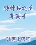 特种兵之至尊高手