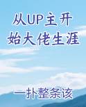 从UP主开始大佬生涯