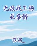 无敌战王杨辰秦惜