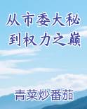 从市委大秘到权力之巅在线阅读小说