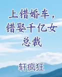 上错婚车，错娶千亿女总裁