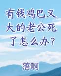 有钱鸡巴又大的老公死了怎么办？在线阅读无弹窗