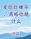 爱你你嫌弃,离婚你跪什么免费