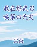 我在综武召唤第四天灾