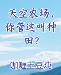 天空农场，你管这叫种田？小说影视剧