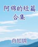 阿锦txt