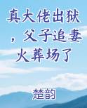 真大佬出狱，父子追妻火葬场了