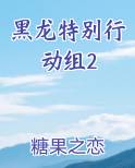 黑龙特别行动组2
