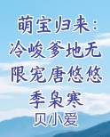 萌宝归来：冷峻爹地无限宠唐悠悠季枭寒