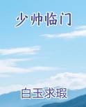 少帅临门