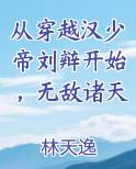从穿越汉少帝刘辩开始，无敌诸天