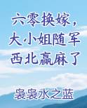 六零换嫁，大小姐随军西北赢麻了