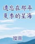遗忘在那年夏季的星海