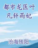 都市龙医叶凡轩雨妃