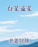 白星盗星小说推荐