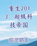 重生2013：超级科技帝国
